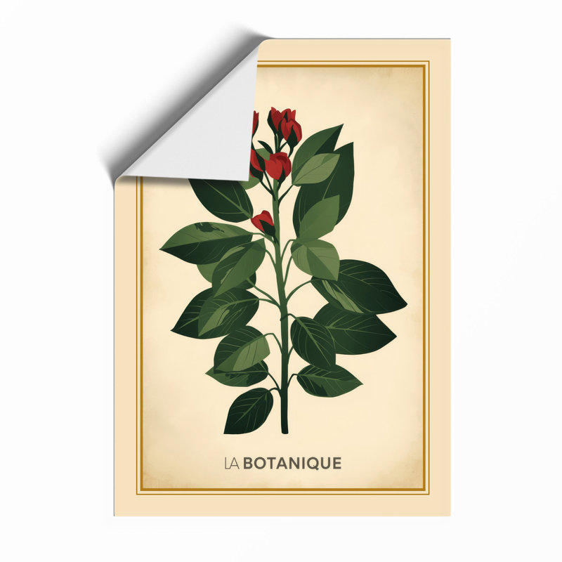 Specimen Botanical - Print, Unframed, A1 - 84.1 x 59.4 cm