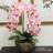 Silk Daisy Arrangement-701959271