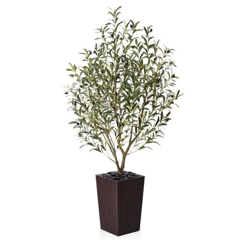 152.5cm Tree