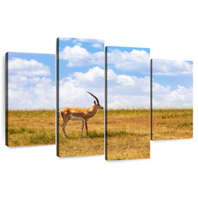 Gazelle dans la savane