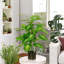 95cm Faux Evergreen Plant in Freestanding