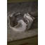 Ondine Sculptural Ceramic Vase
