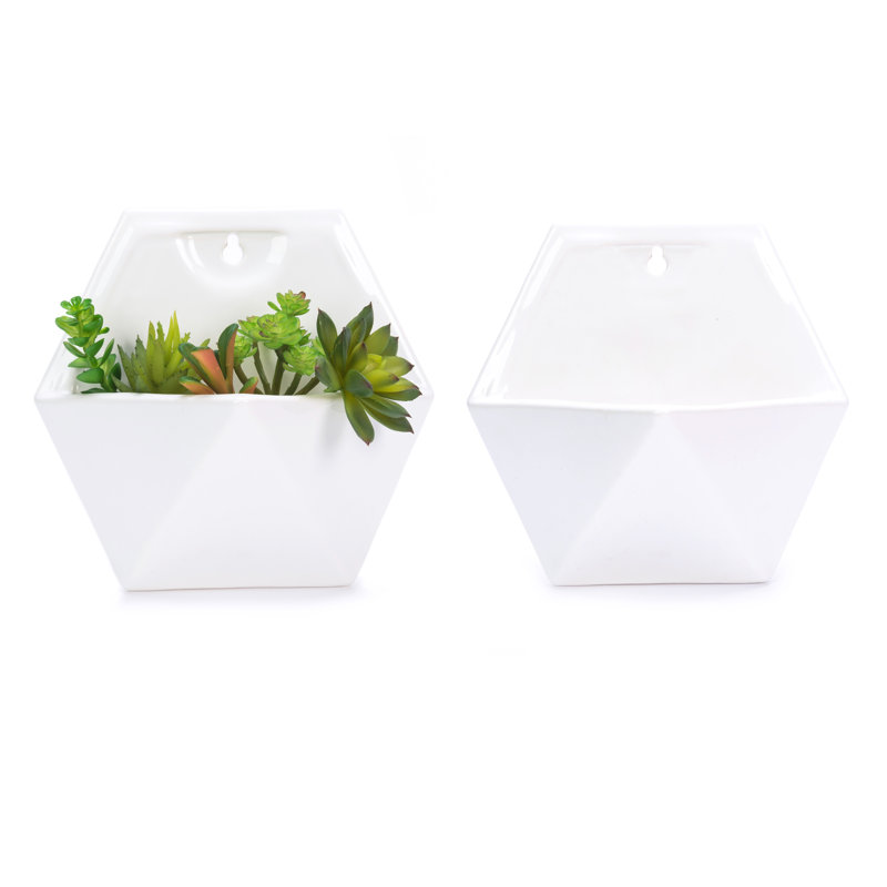 Joclyn Ceramic Wall Planter