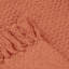 Pahokee Throw Blanket-355195505