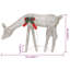 Mesh Christmas Reindeers Lighted Display Set-1870032191