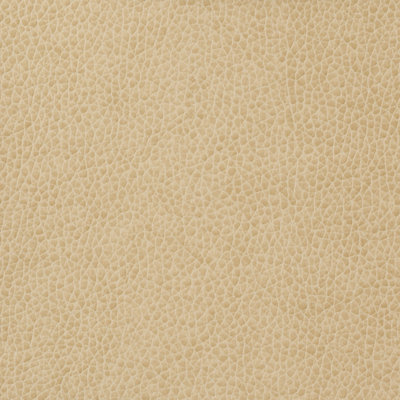 Matter Fabric