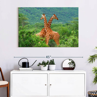 Crowle Giraffe Love