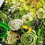 Arrangement floral Garden Rose en boîte