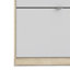 Shoes 9 Pair Shoe Storage Cabinet-1213974961