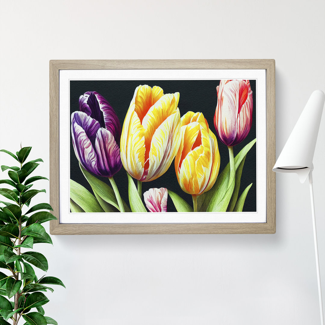 Pleasant Tulip Flowers - Single Picture Frame Print