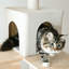 Arbre à chat 64 po Chabeli-539217367