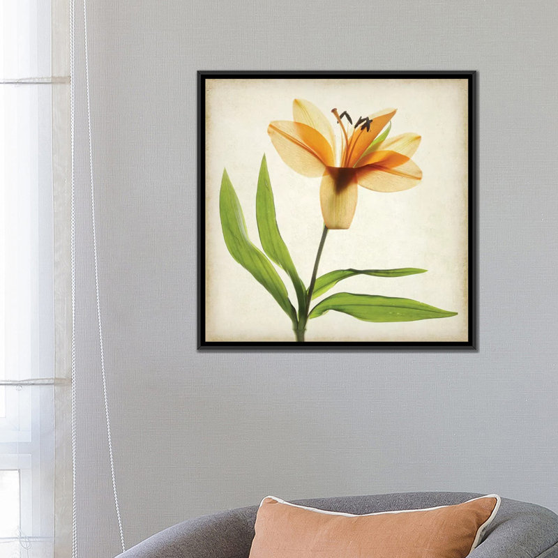 « parchemin floral xi », impression sur toile, H 18 po x l 18 po x P 1,5 po, Toile encadrée noire, Pas de tapis