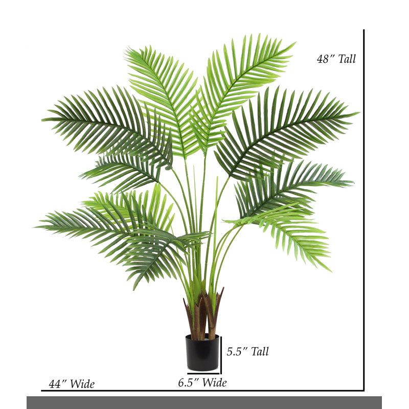 ARBRE DE PAUME 48 "PARADISE