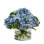 HYDRANGEA IN CYLINDER