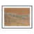 Black Maple Paper Single Picture Framed