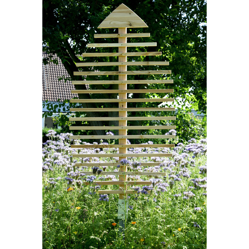 160cm H x 84cm W Wood Curved Trellis