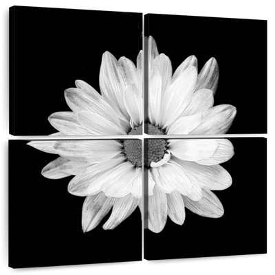 Harnek BW - marguerite blanche