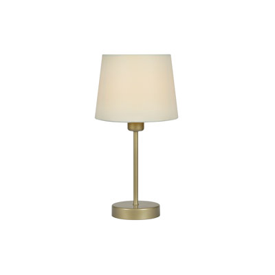 Alaniz Metal Table Lamp
