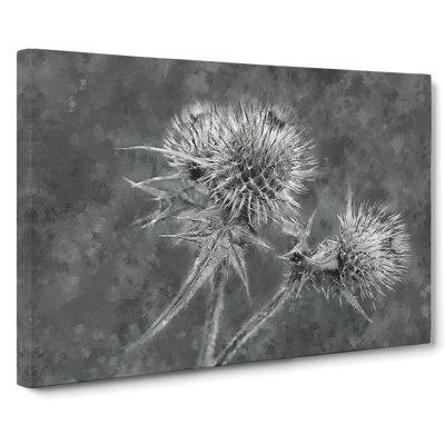 Thistle Flower Vol.5 - Wrapped Canvas
