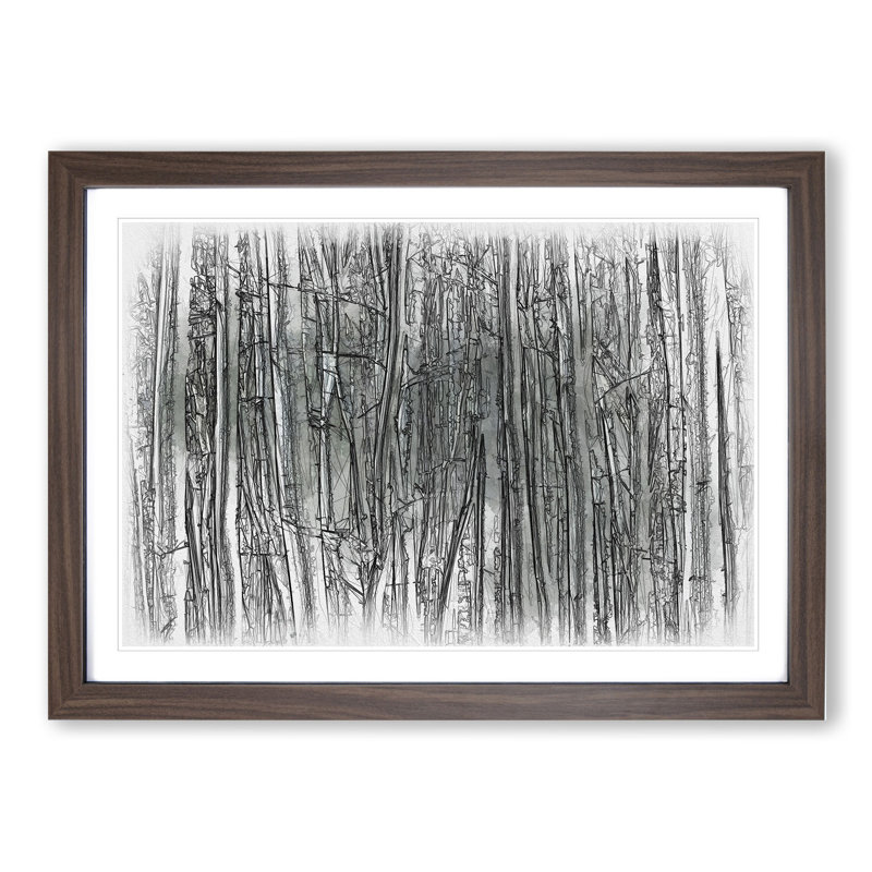 Forest Woodland - Picture Frame Drawing, 36cm H x 48cm W x 2cm D, Walnut