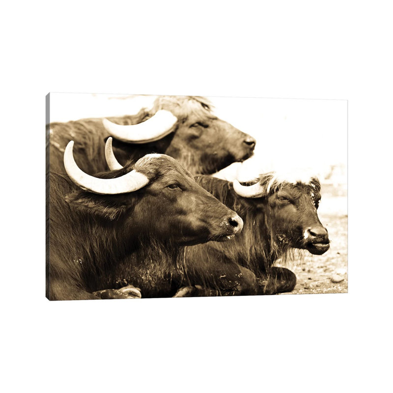 Bisons I by Goran Anastasovski - Wrapped Canvas Print, 20.32 cm H x 30.48 cm W