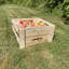 Harji Wood Food Storage Container