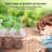 Boshen Growing Kit-100943825