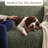 Stretchy Slipcover for Sofa – Machine Washable & Furniture Protector - Comfort Collection-118804366-88359764