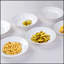 Ensemble de 6 assiettes blanches blanches à salade de 9,5 pouces servant des plats ronds modernes - lave-vaisselle, micro-ondes, allant au four, résistant aux égratignures, glaçage lisse