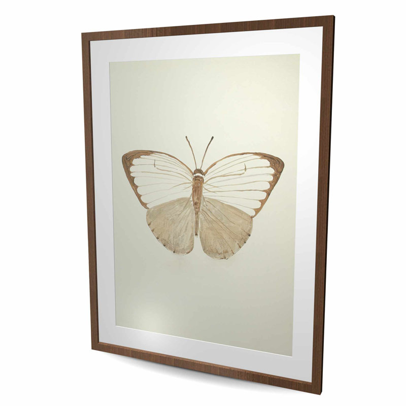 Papillons sépia - Beige animaux, reproduction encadrée