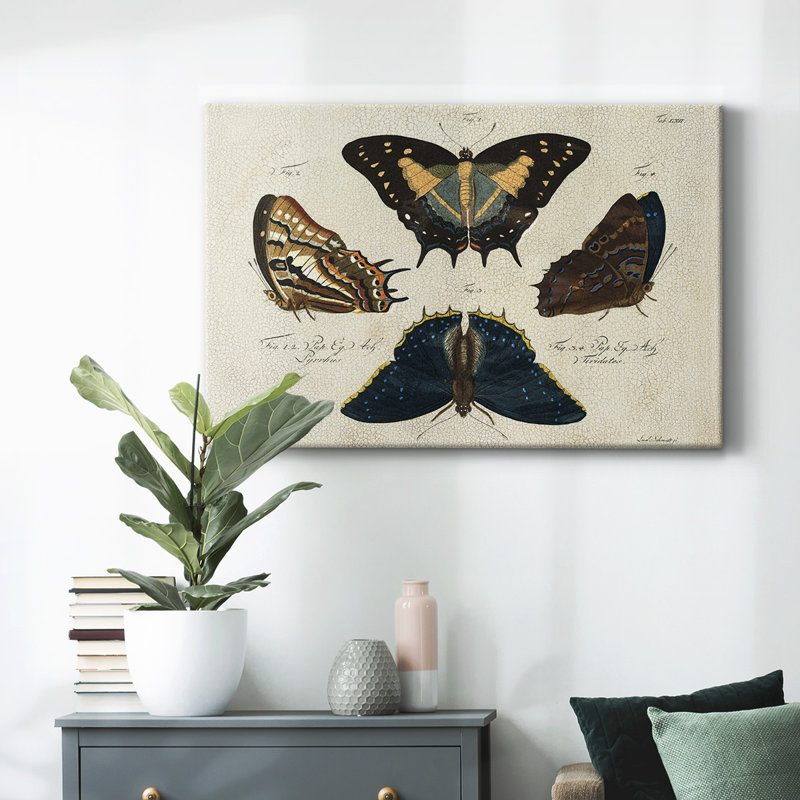 «Crackled Butterflies IV», toile tendue avec châssis, H 12 po x l 18 po