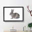 Brown Bunny Rabbit Painting - Single Picture Frame Print on MDF-56633421-56633422