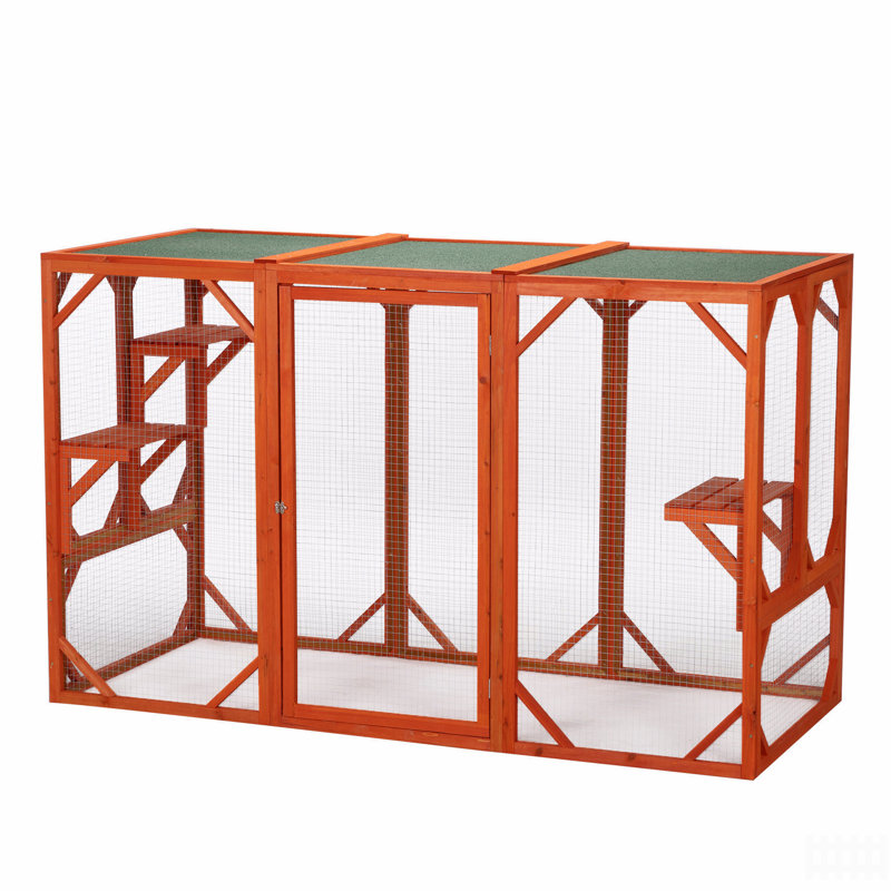 Maison pour chat, cage d'extérieur pour chat avec imperméable et perchoirs pour chat