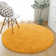 Alexe Standard Shag 120cm X 120cm Area Rug