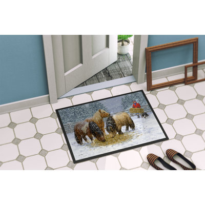 Non-Slip Outdoor Doormat