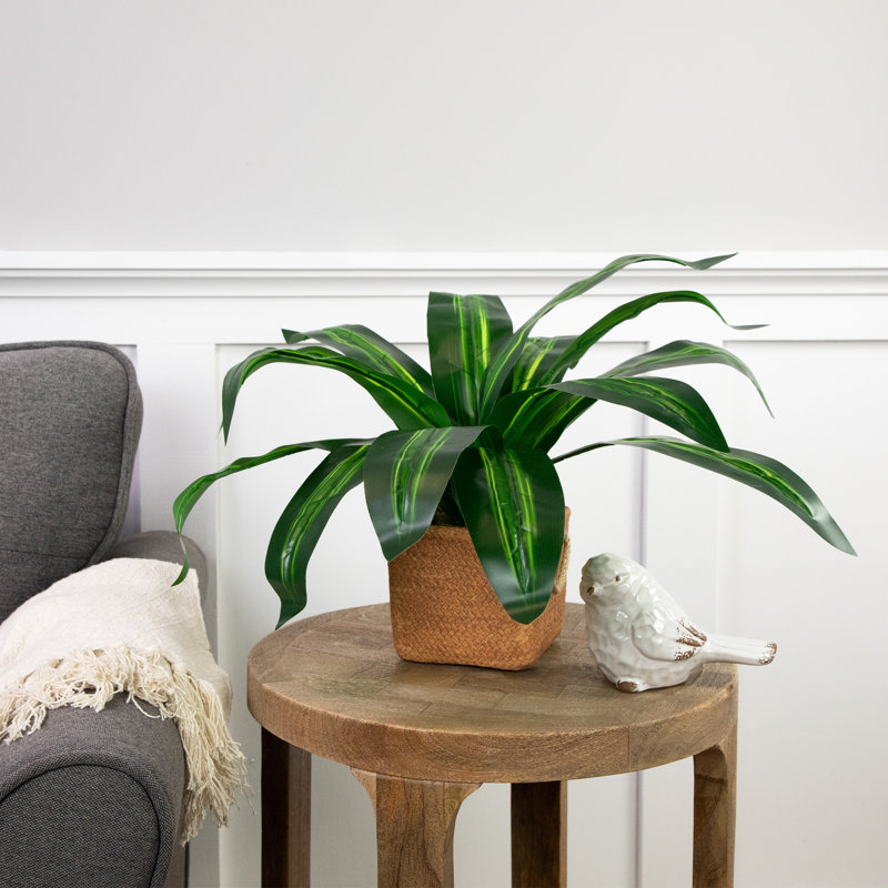 Faux 27 po plante en céramique Dracaena