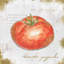 « jardin trésors vii », impression sur toile-20828367-73158403-73158410