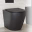 Cuvette de toilette allongée St. Tropez-61836543