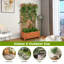 Jardin vertical en bois massif avec treillis Pachl 2 pi x 1,5 pi