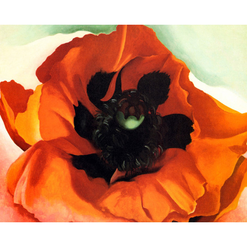 Coquelicot, H 19 po x l 24 po