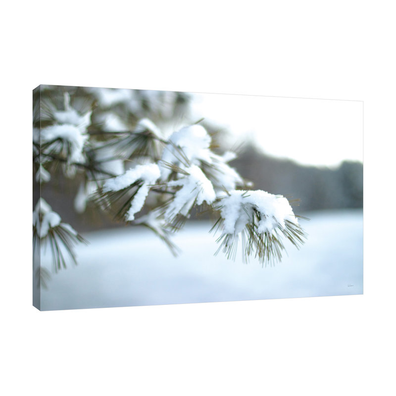 «Frosted White Pine» par Sue Schlabach - impression sur toile tendue, H 20 po x l 30 po x P 1,5 po