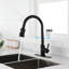 Robinet de cuisine noir mat mat avec tête de pulvérisation rétractable, conception à un levier pour un réglage simple de l'eau, bec haut rotatif à 360 °, surface rouillée, robinet à bec vers le bas en acier inoxydable, fonction rapide
