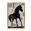 Equinity Horse Silhouette Floating Frame, design by Annabelle Hall-2134818185-2134818197