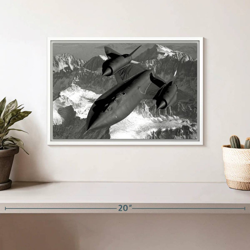 SR-71 merle, Cadre flottant blanc, 13 po x 9 po