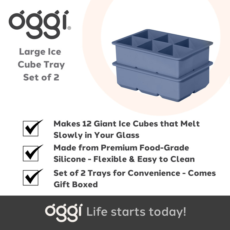 Set of 2 Large (2") Ice Cube Trays