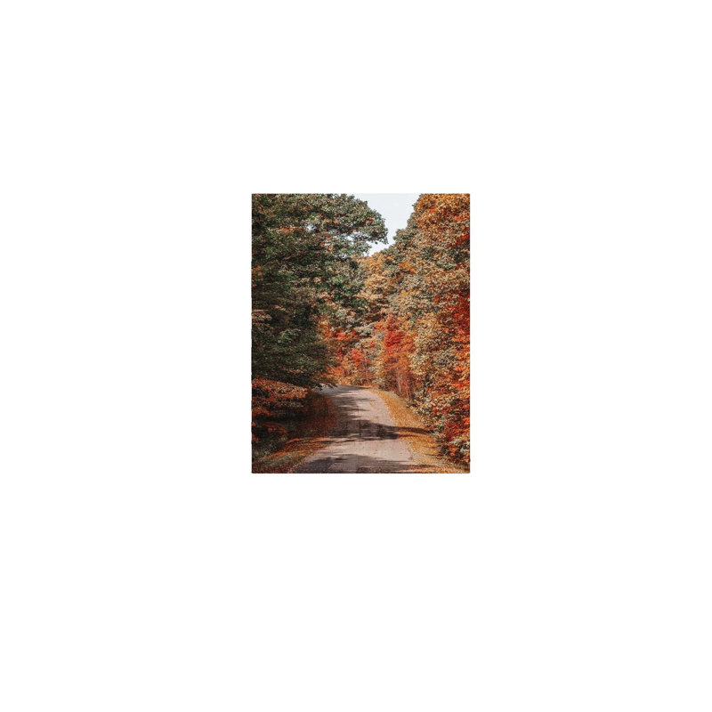 Art mural national sans cadre 24 po x 36 po National Landscape