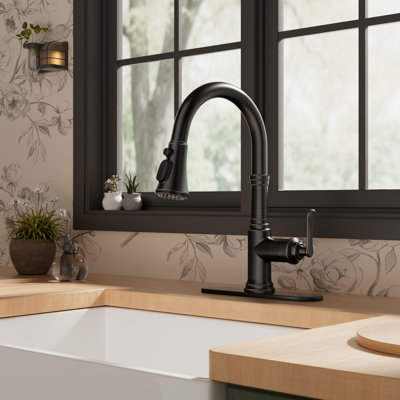 FURUISI Pull Down Kitchen Faucet