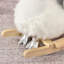 Clementina Swan Rocker