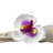 Plastic, Fabric Napkin Ring-1241803973