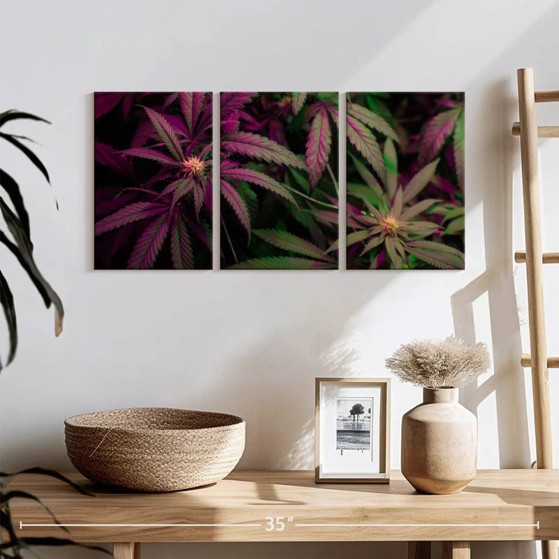 Lavander Marijuana, 12" H x 26" W
